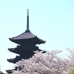 Sakura 椿 京都市